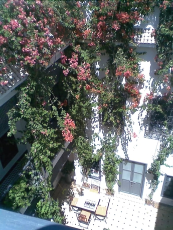 Imagen de los interiores del Casa de Huéspedes Bougainvillea Riad. Foto 18