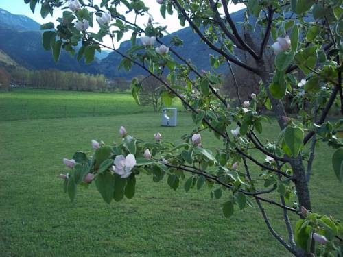 Imagen general del Casa de Huéspedes Casa Adolfo. Foto 6