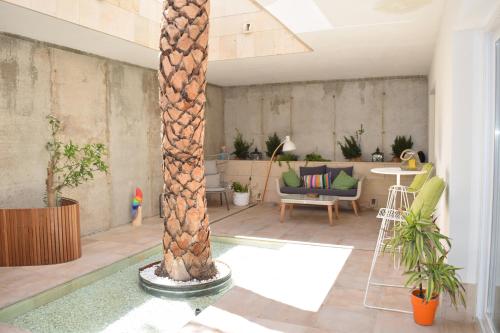 Imagen general del Casa de Huéspedes Casa Boquera. Foto 2