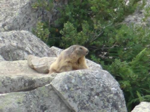 Imagen general del Casa de Huéspedes Casa Rural Casa Ferraz. Foto 6