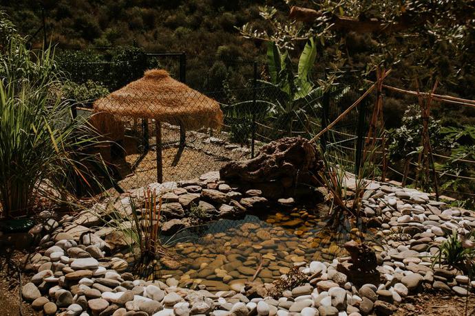 Imagen de los exteriores del Casa de Huéspedes Casa Siempreviva - Adults Recommended. Foto 5