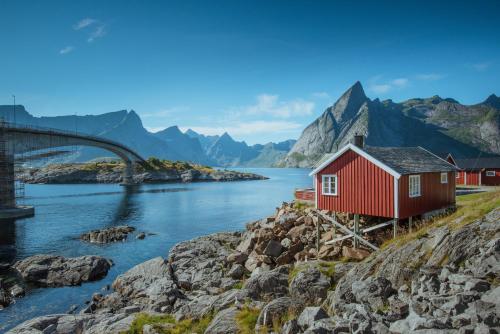 Imagen de la habitación del Casa de Huéspedes Eliassen Rorbuer. Foto 12