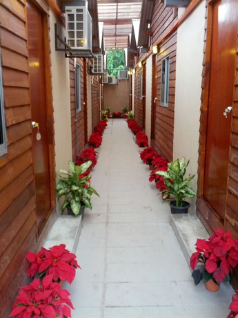 Imagen de los exteriores del Casa de Huéspedes Funky Huts. Foto 8
