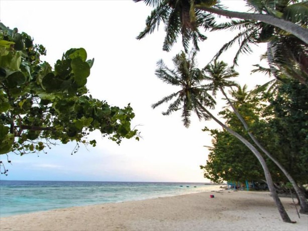 Imagen general del Casa de Huéspedes Goby Lodge Guest House. Foto 3