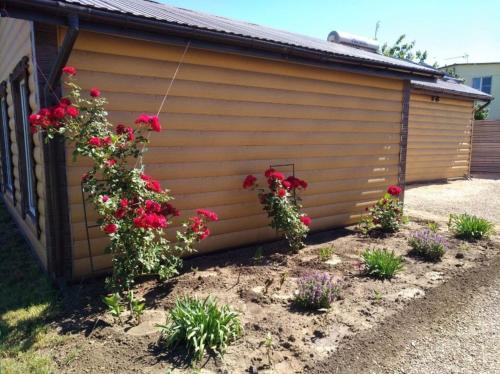 Imagen general del Casa de Huéspedes Gostevoy Dvor. Foto 1