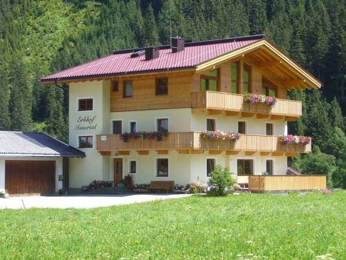 Imagen general del Casa de Huéspedes Innertal Bauernhof. Foto 9