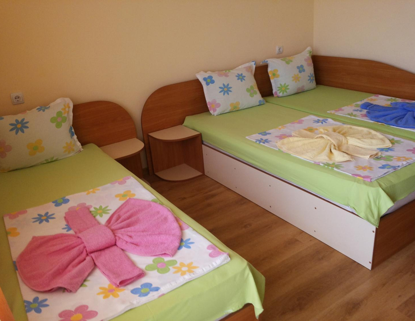 Imagen general del Casa de Huéspedes Ivanovi. Foto 23