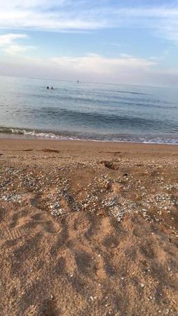 Imagen general del Casa de Huéspedes Lady Di. Foto 4