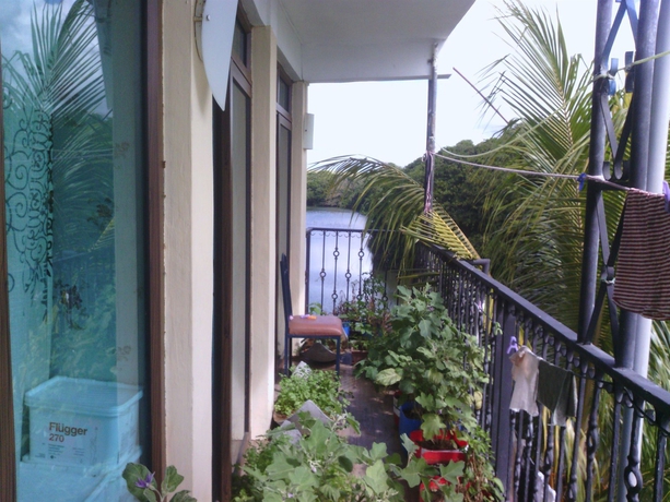 Imagen de los interiores del Casa de Huéspedes Le Bamboo. Foto 5