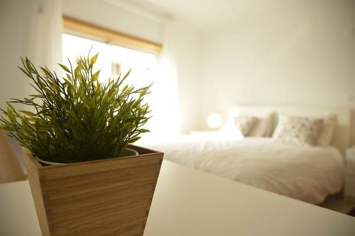 Imagen de la habitación del Casa de Huéspedes Parque Dos Pastores Al. Foto 16