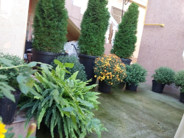 Imagen general del Casa de Huéspedes Prokhlada. Foto 5