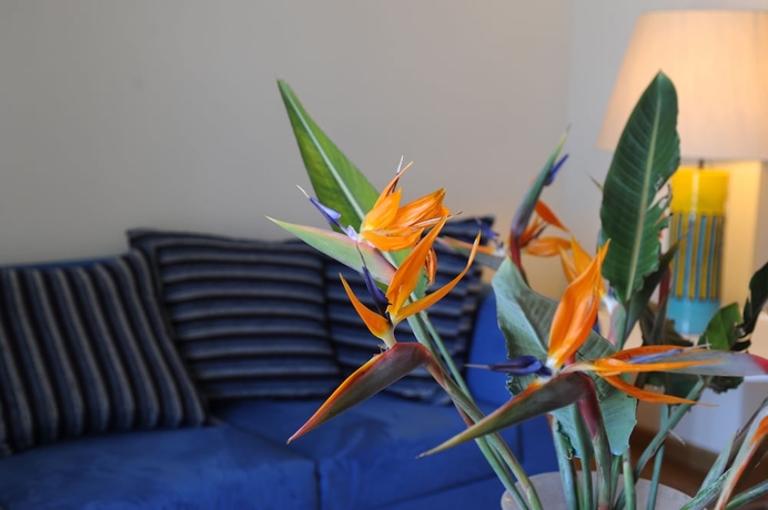 Imagen de la habitación del Casa de Huéspedes Quart&eacute; Say&agrave;l. Foto 10