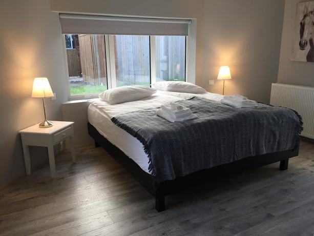 Imagen de la habitación del Casa de Huéspedes Reykjadalur Guesthouse. Foto 5