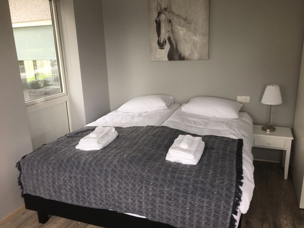 Imagen de la habitación del Casa de Huéspedes Reykjadalur Guesthouse. Foto 16