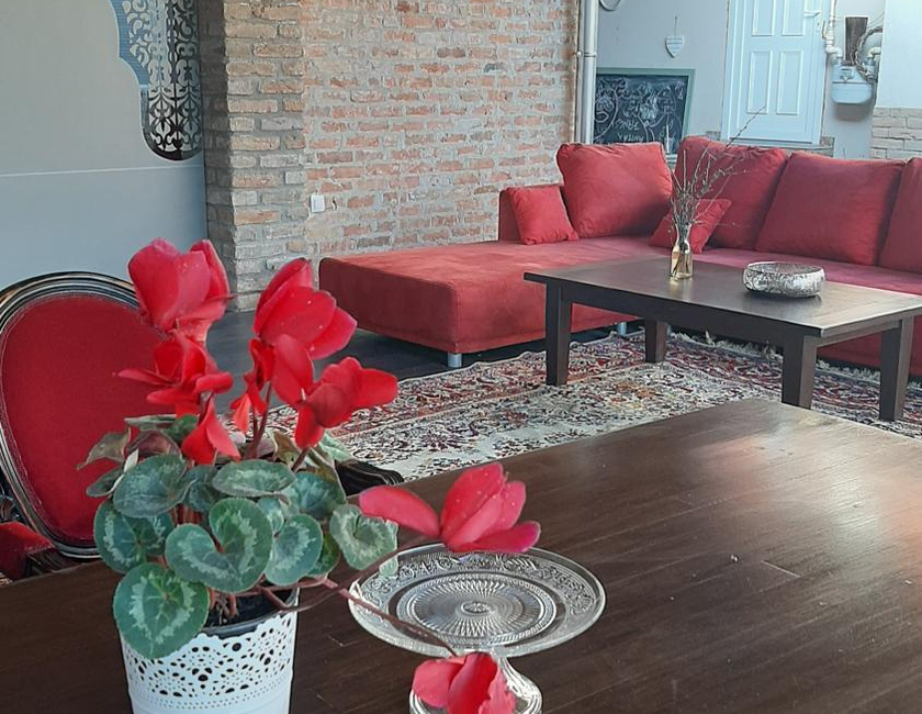 Imagen general del Casa de Huéspedes Romantika Panzio, GYULA. Foto 11