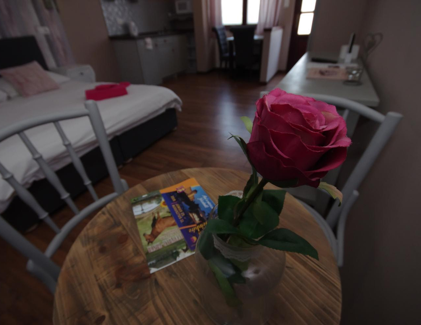 Imagen general del Casa de Huéspedes Romantika Panzio, GYULA. Foto 12