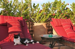 Imagen de los exteriores del Casa de Huéspedes Sakkan. Foto 6