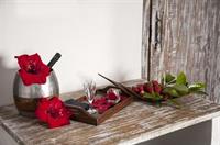 Imagen de los interiores del Casa de Huéspedes Sevenmaze Charming House. Foto 13