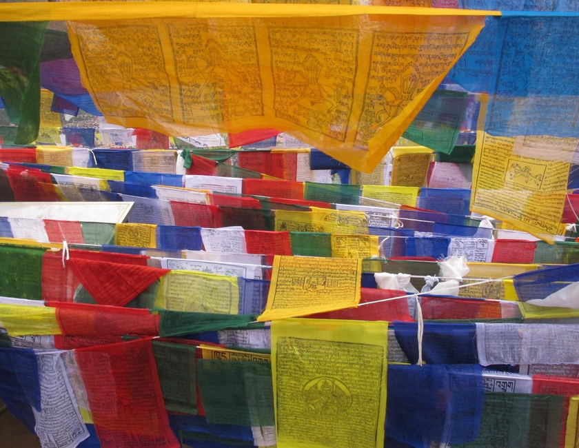 Imagen general del Casa de Huéspedes Suma, Bodhgaya. Foto 10