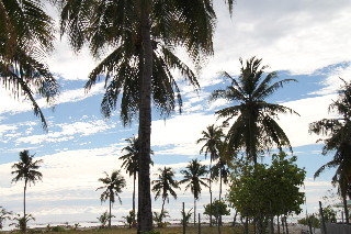 Imagen de los exteriores del Casa de Huéspedes Summer Villa Guest House. Foto 9