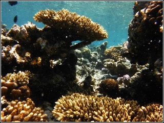 Imagen de los exteriores del Casa de Huéspedes Summer Villa Guest House. Foto 12