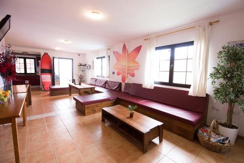 Imagen de los interiores del Casa de Huéspedes Surf Riders Fuerteventura - Adults Only. Foto 15
