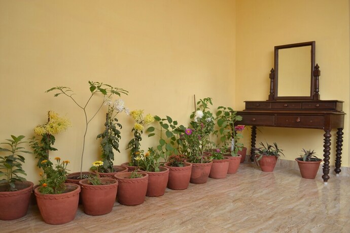 Imagen de los interiores del Casa de Huéspedes Tara Guest House, Varanasi. Foto 34