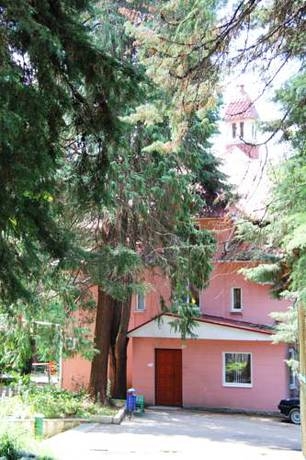 Imagen general del Casa de Huéspedes Teremok, Greater Sochi. Foto 4