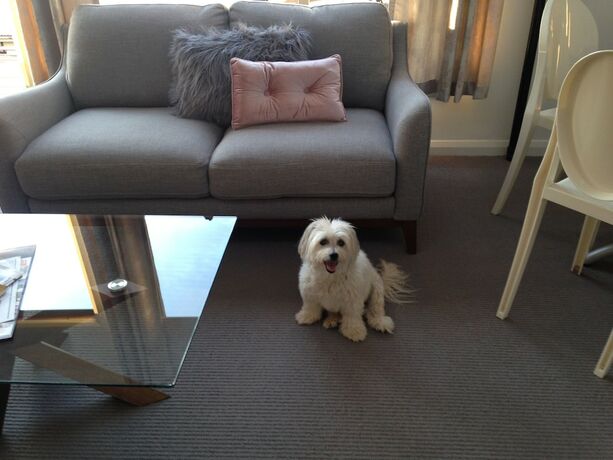 Imagen de la habitación del Casa de Huéspedes The Albert and Mills Guest House and Apartments. Foto 4