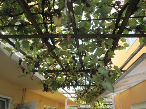 Imagen general del Casa de Huéspedes Veterok. Foto 4