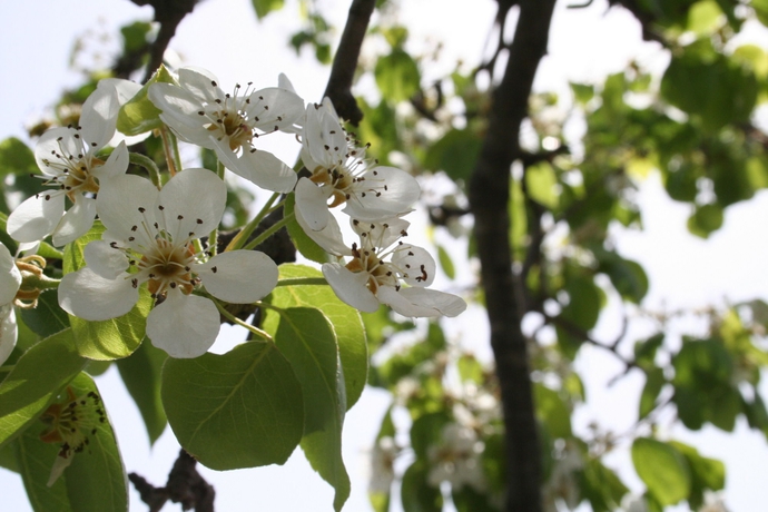 Imagen de los exteriores del Casa de Huéspedes Villa Rocla Guest House Pompei. Foto 5
