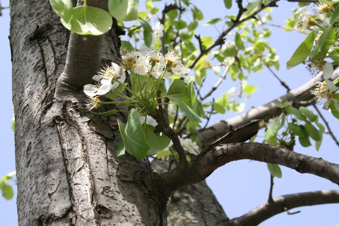 Imagen de los exteriores del Casa de Huéspedes Villa Rocla Guest House Pompei. Foto 10