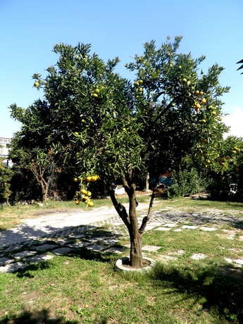 Imagen de los exteriores del Casa de Huéspedes Villa Rocla Guest House Pompei. Foto 11