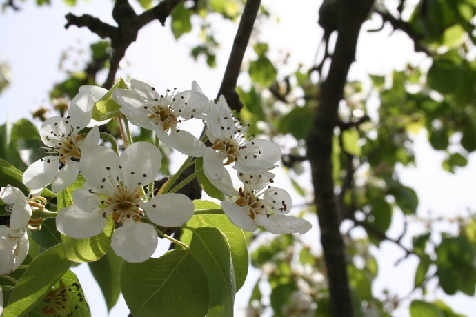 Imagen de los exteriores del Casa de Huéspedes Villa Rocla Guest House Pompei. Foto 13