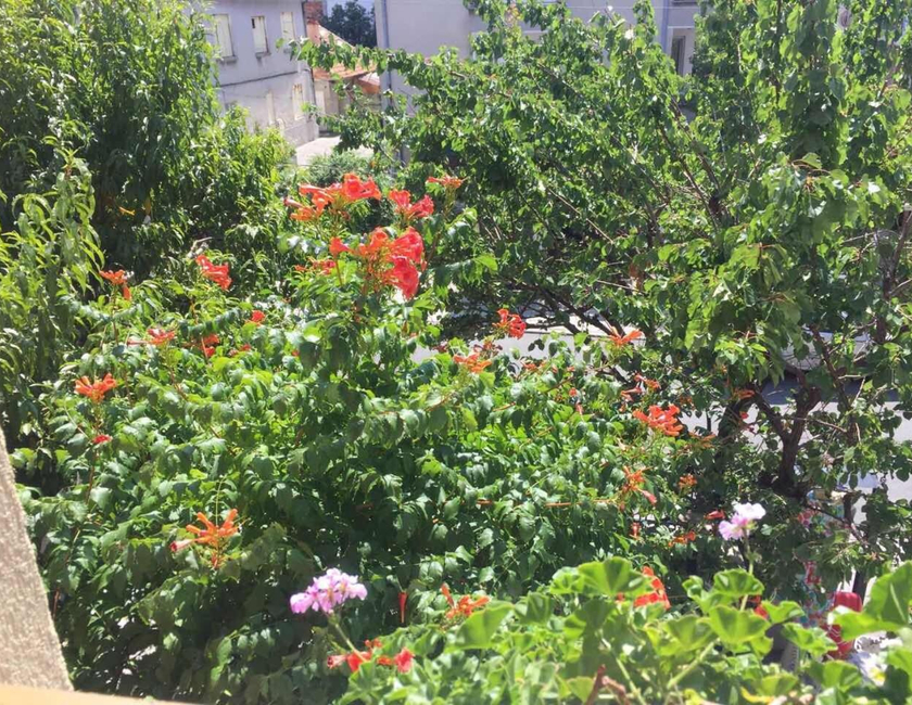 Imagen general del Casa de Huéspedes Violeta 7. Foto 16