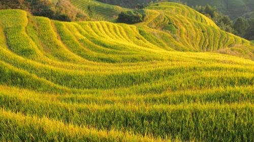 Imagen general del Casa de Huéspedes Wanjinglou. Foto 5