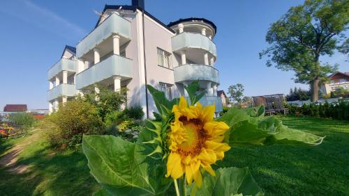 Imagen de los exteriores del Casa de Huéspedes Willa Baltycka Bryza. Foto 17