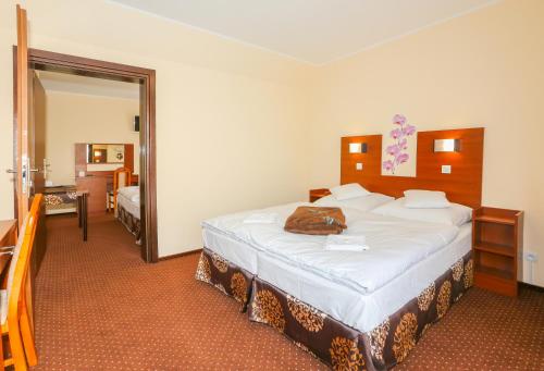 Imagen de la habitación del Casa de Huéspedes Willa Saga. Foto 15