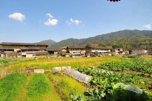 Imagen de la habitación del Casa de Huéspedes Yunshuiyao Yuntian. Foto 10