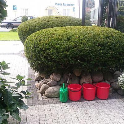 Imagen de los exteriores del Casa de Huéspedes pokoje gościnne ZAWISZA. Foto 12