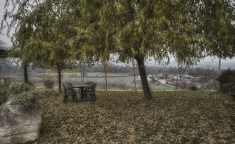 Imagen de los exteriores del Finca Rústica Agriturismo Il Palazzetto. Foto 8