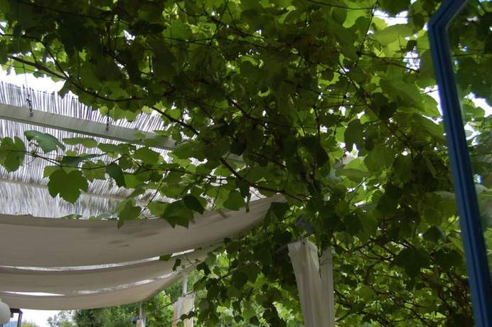 Imagen de los exteriores del Finca Rústica Agriturismo La Pergola Dei Paggi. Foto 12