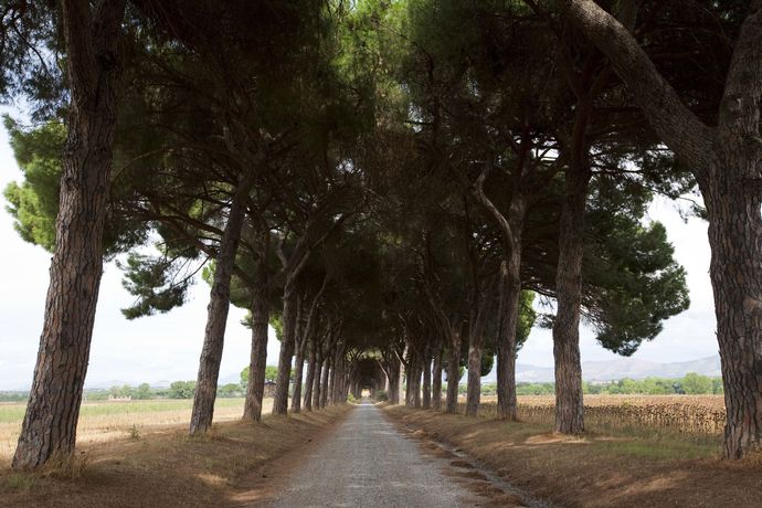Imagen de los exteriores del Finca Rústica Agriturismo Pantano Borghese. Foto 10