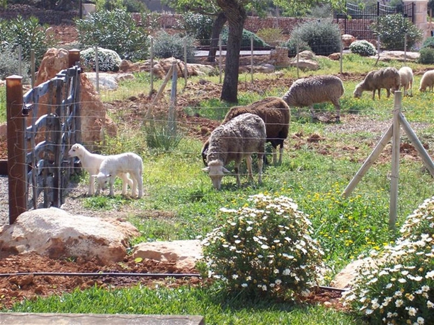 Imagen de los exteriores del Finca Rústica Agroturisme Na Martina. Foto 10