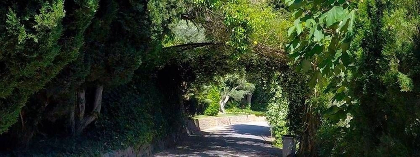 Imagen de los exteriores del Finca Rústica Alfabia Nou Agroturismo. Foto 6