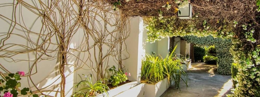 Imagen de los exteriores del Finca Rústica Alfabia Nou Agroturismo. Foto 7