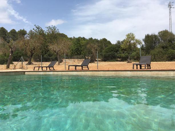 Imagen de la piscina del Finca Rústica Binibasa. Foto 13