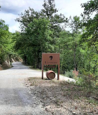 Imagen de los exteriores del Finca Rústica Borgo Livernano. Foto 8