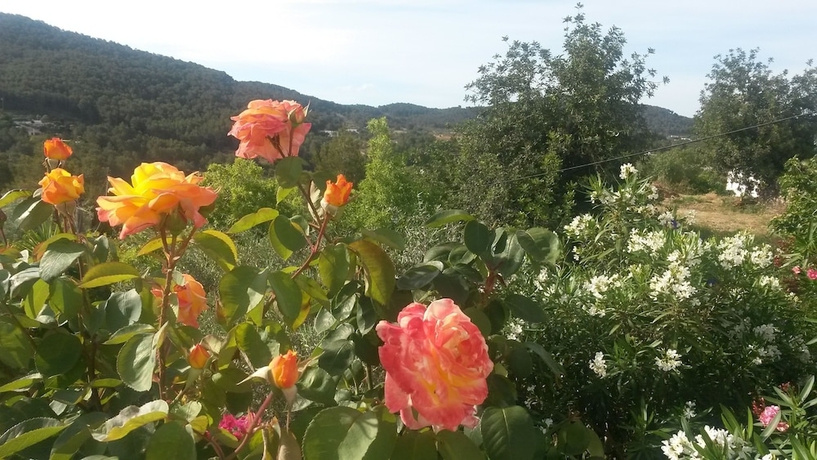 Imagen de los exteriores del Finca Rústica Can Pardal. Foto 17