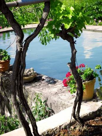 Imagen de los exteriores del Finca Rústica Can Planells. Foto 5